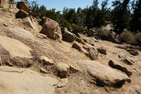 Enlarge photo 45
