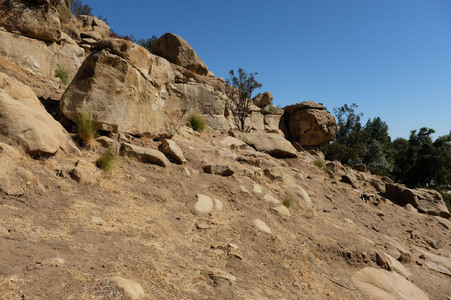 Enlarge photo 64