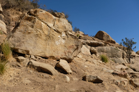 Enlarge photo 216