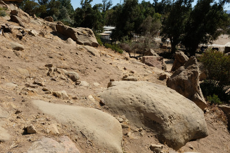Enlarge photo 37