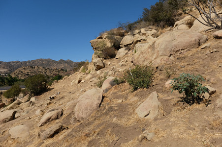 Enlarge photo 86