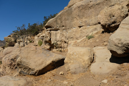 Enlarge photo 157