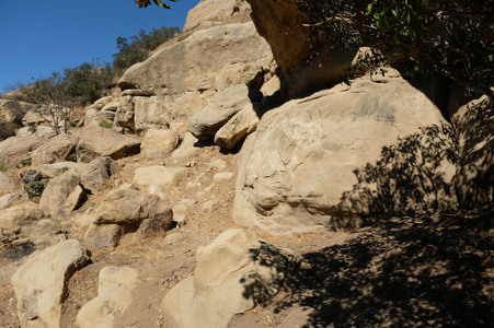 Enlarge photo 130