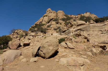Enlarge photo 182