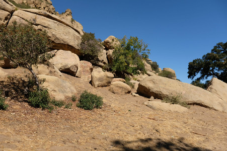 Enlarge photo 93