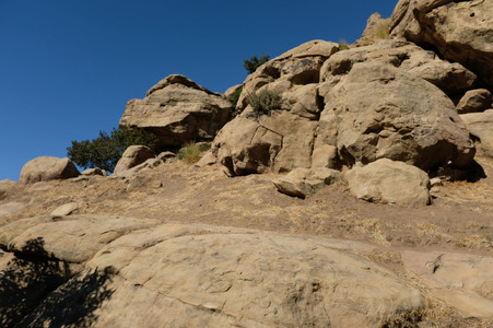 Enlarge photo 231