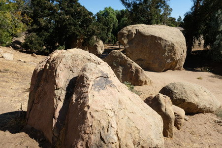 Enlarge photo 116