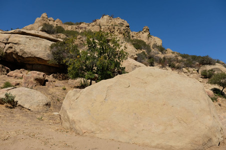 Enlarge photo 218