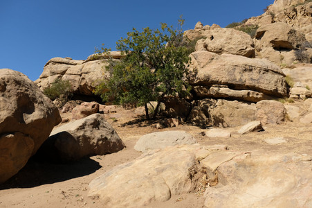 Enlarge photo 145