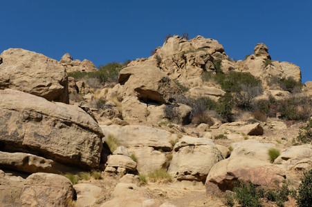Enlarge photo 154