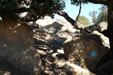 Enlarge photo 158