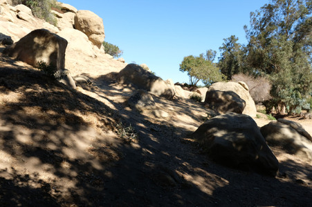 Enlarge photo 224