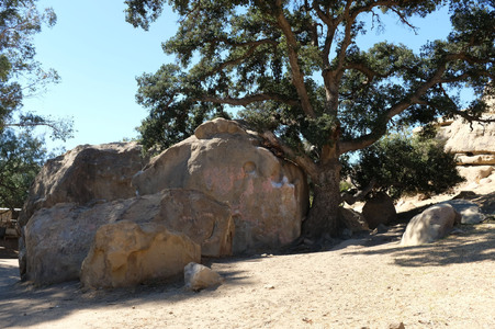 Enlarge photo 19