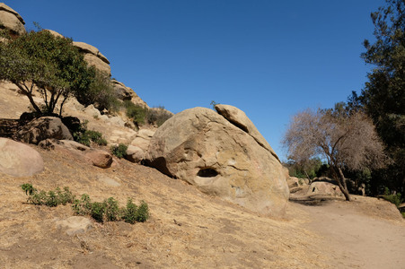 Enlarge photo 155