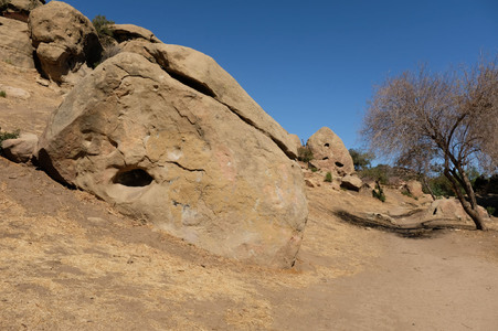 Enlarge photo 163