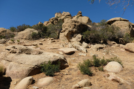 Enlarge photo 54