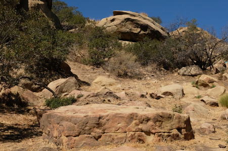 Enlarge photo 66