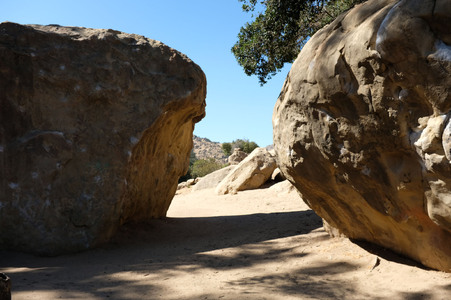 Enlarge photo 235