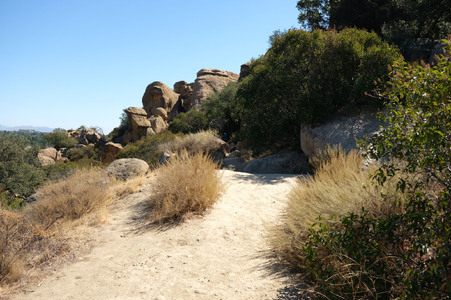 Enlarge photo 47