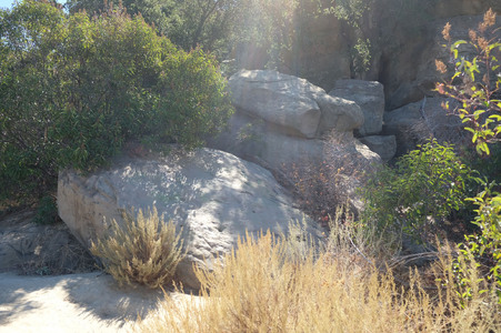 Enlarge photo 41