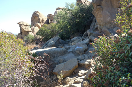 Enlarge photo 21