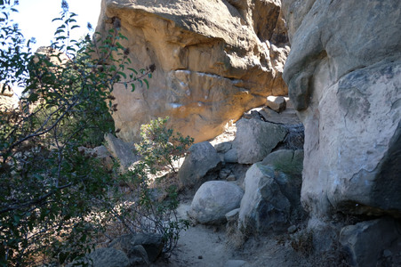 Enlarge photo 122