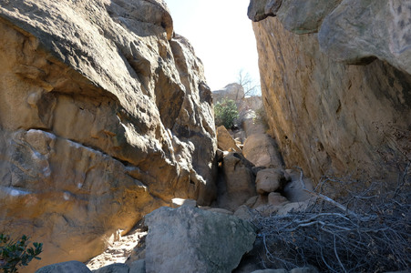Enlarge photo 141