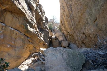 Enlarge photo 185