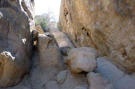 Enlarge photo 225