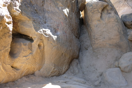 Enlarge photo 226