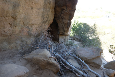 Enlarge photo 186