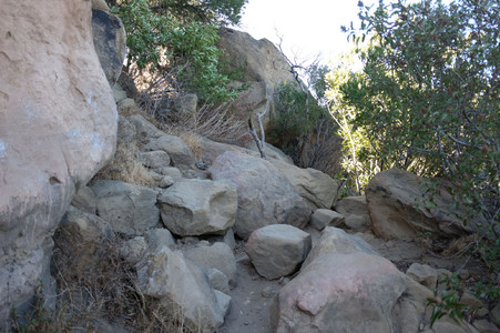 Enlarge photo 146