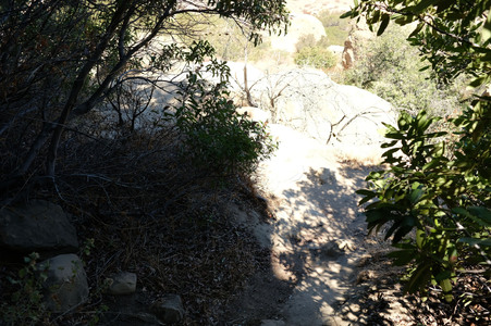 Enlarge photo 42