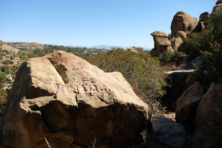 Enlarge photo 215