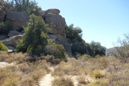 Enlarge photo 138