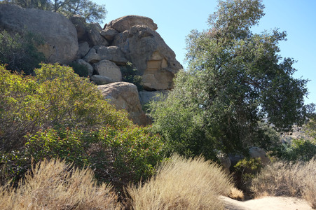 Enlarge photo 8