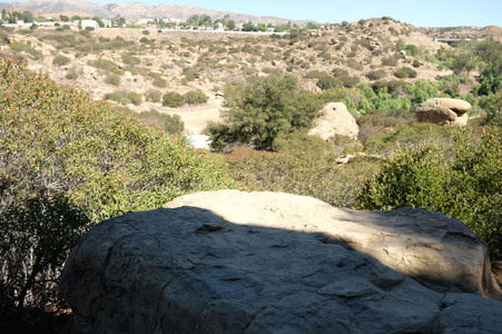 Enlarge photo 79