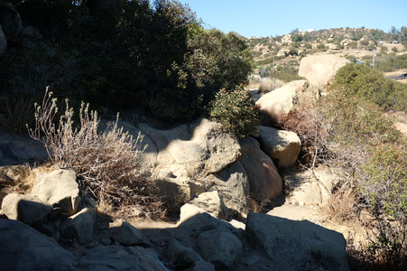 Enlarge photo 28