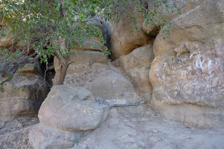 Enlarge photo 165