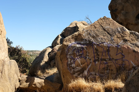 Enlarge photo 161