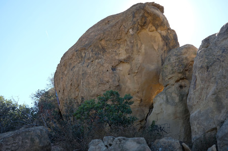 Enlarge photo 227