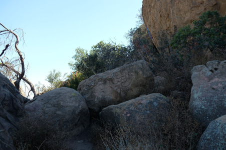 Enlarge photo 166