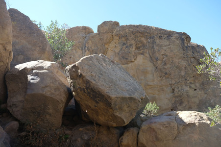 Enlarge photo 233