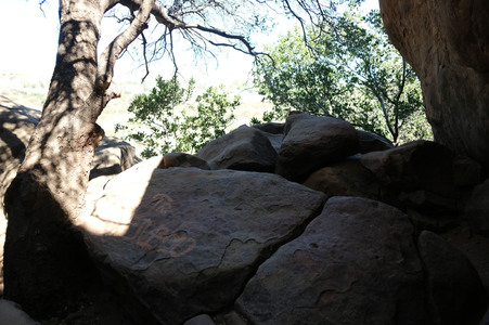 Enlarge photo 179