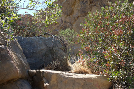 Enlarge photo 16