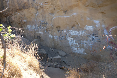 Enlarge photo 171