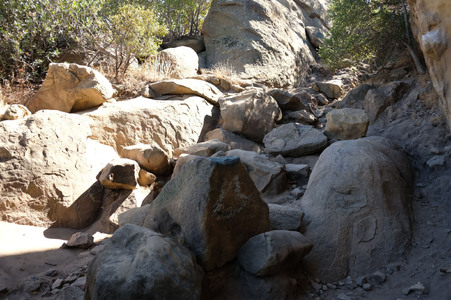 Enlarge photo 81