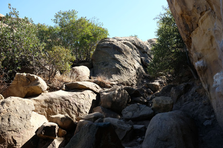 Enlarge photo 56