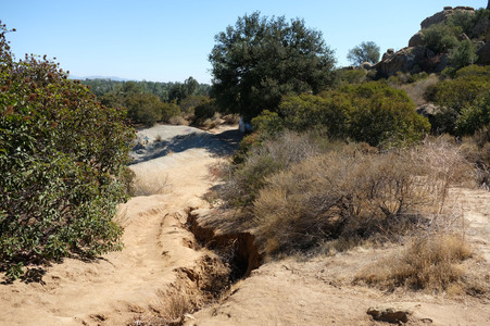 Enlarge photo 17