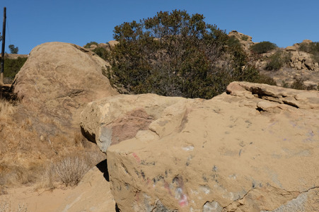Enlarge photo 195